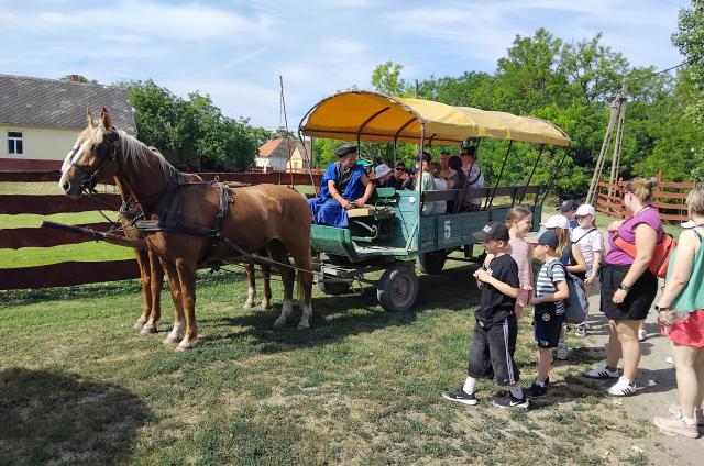 PUSZTA ROBOTIKA